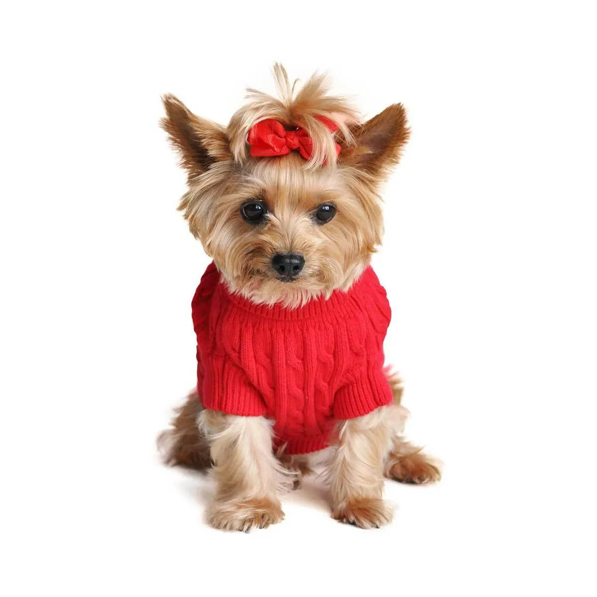 Cable Knit Dog Sweater in Red