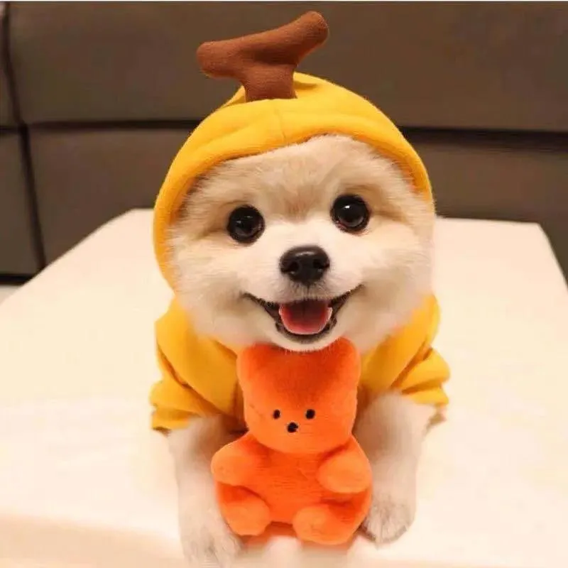 Cute Fruit Dog Clothes For Small Dogs Hoodies Winter Warm Fleece Pet Clothing Puppy Cat Costume Coat For French Chihuahua Outfit