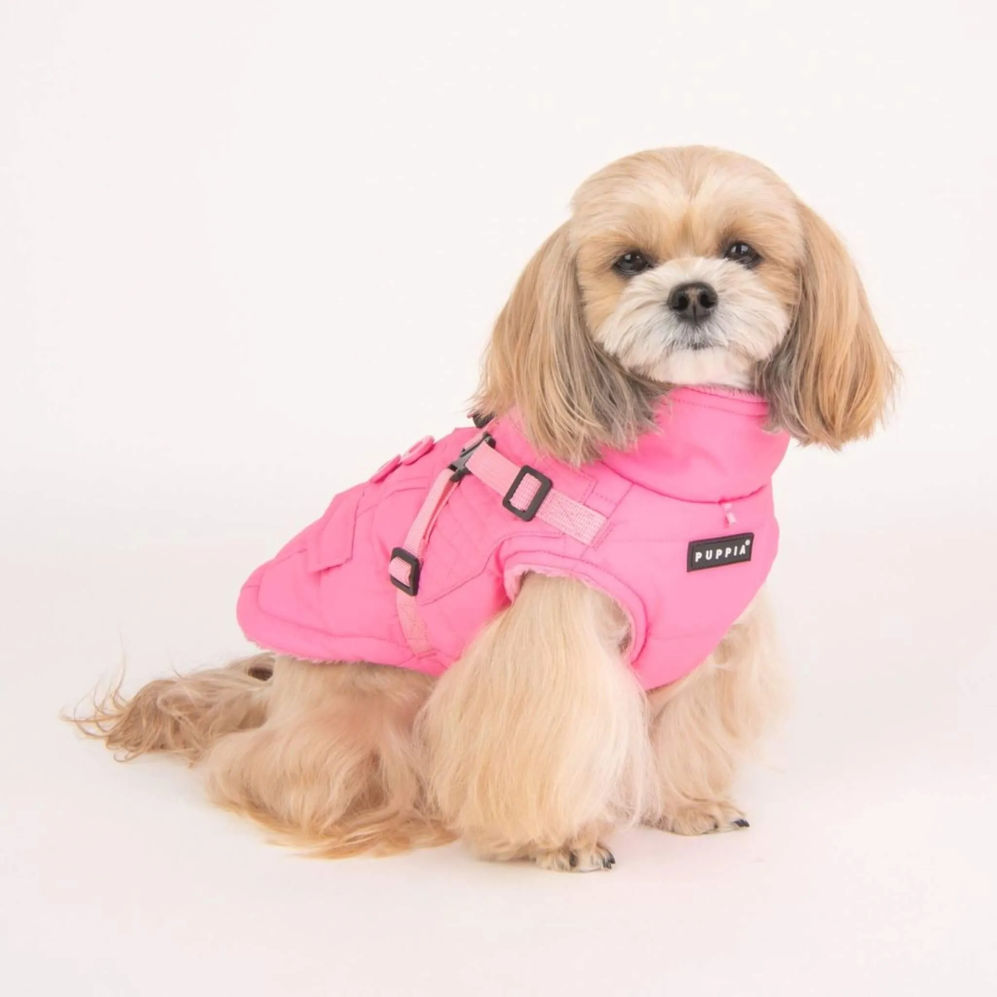 Wilkes Winter Dog Coat with Integrated Harness